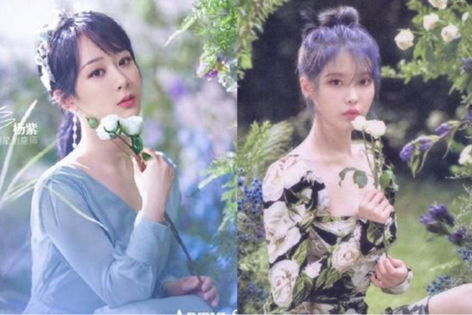 杨紫代言照涉嫌抄袭IU李知恩，网友：这个得问品