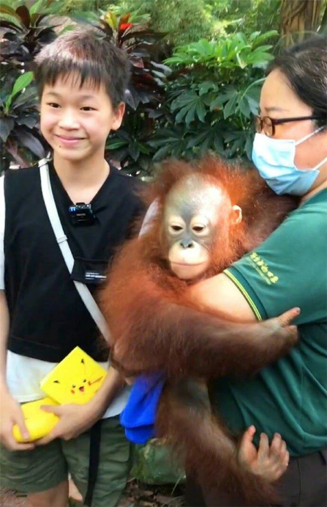 全红婵找不回缺失的童年！幼年没钱坐过山车，如今连坐6遍却无趣