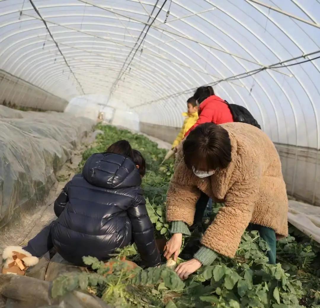 孙俪一家四口罕见出游！等等个子快超妈妈，孙俪穿貂皮大衣骑三轮