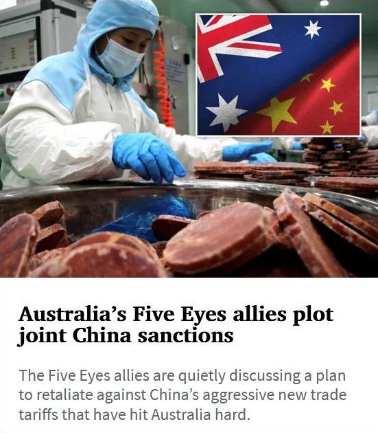 澳大利亞拉攏五眼聯盟報復中國，尷尬的是：美加新為了生意已叛變