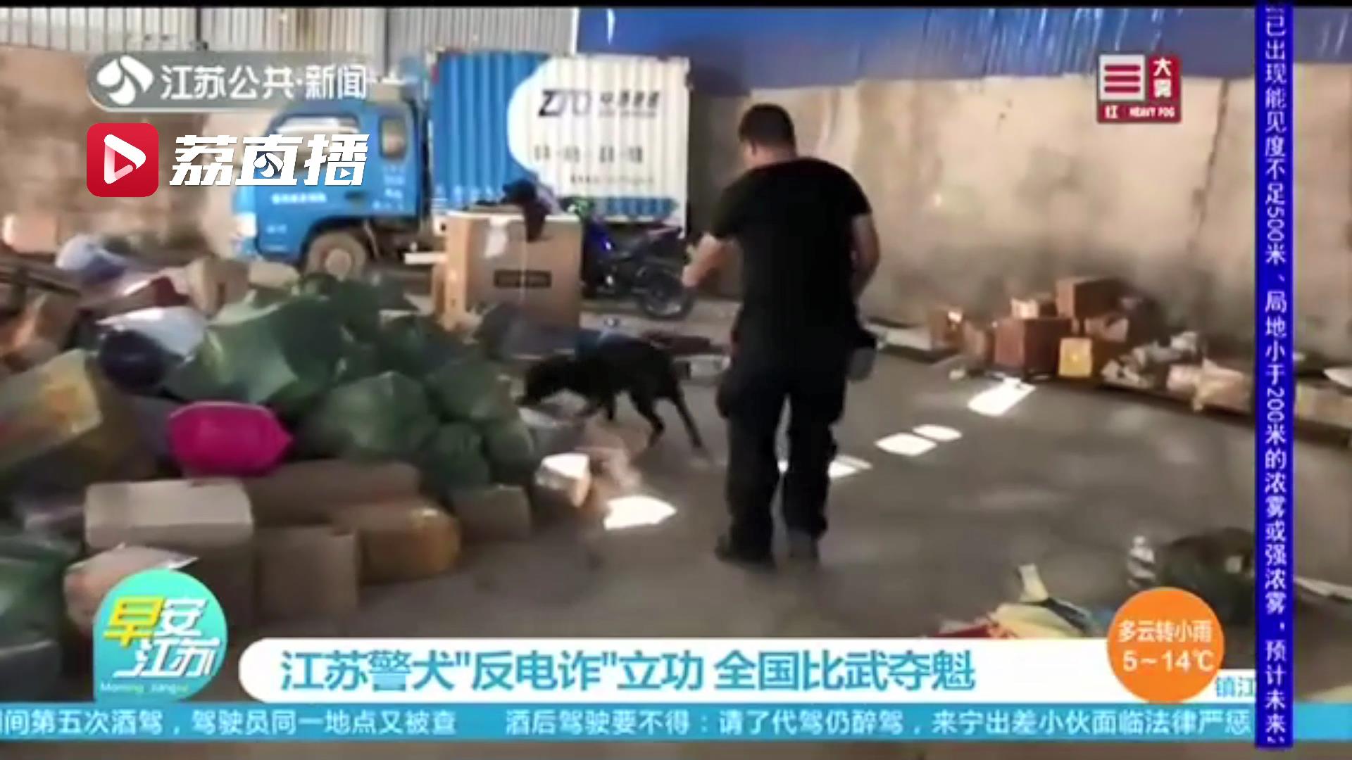 真厉害！江苏警犬在对电诈工具的搜索中立了大功，全国比武还拿了第一