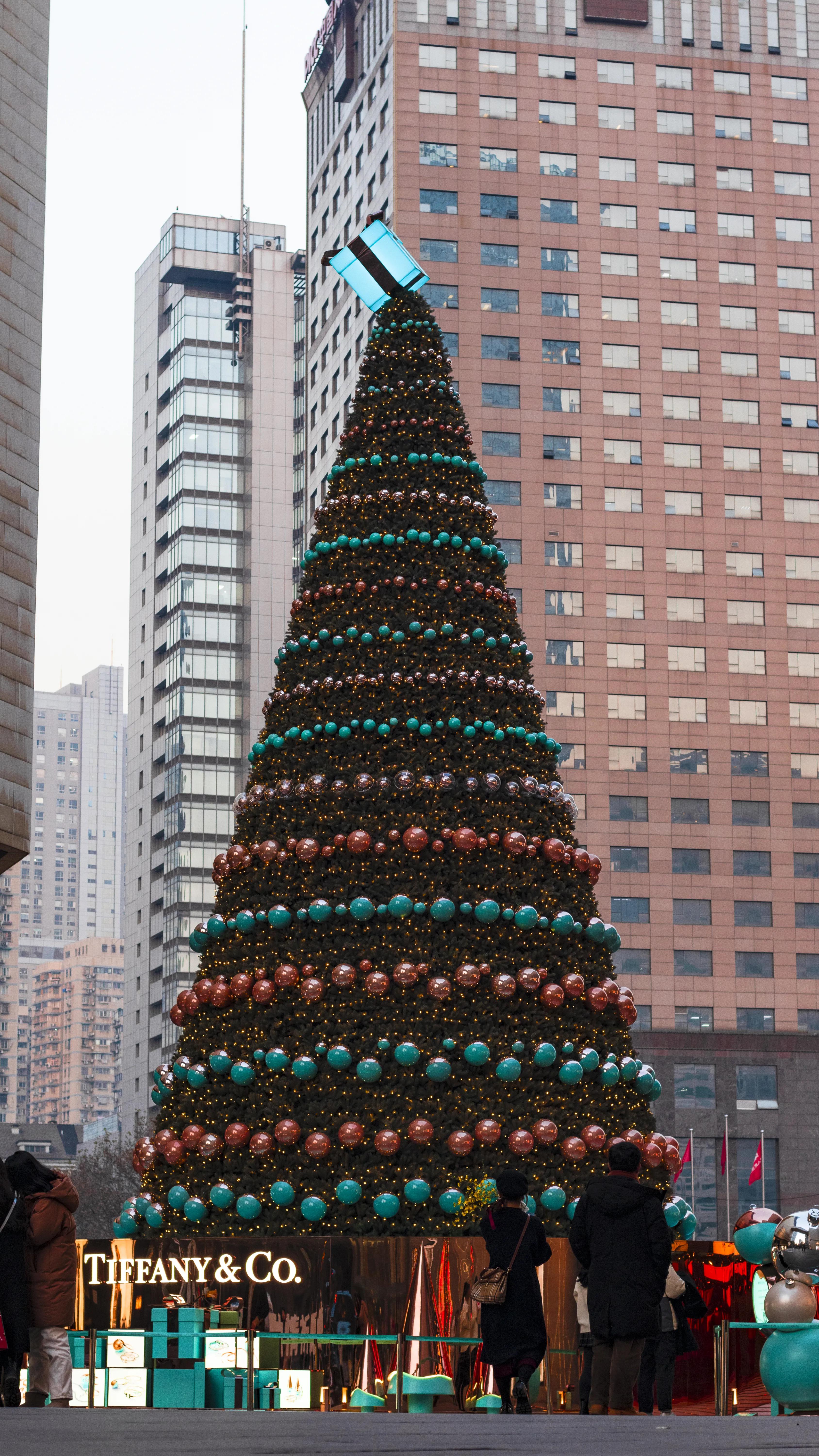 Of christmas tree film