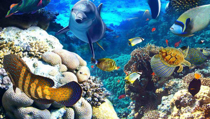 "铁甲海蜗牛":吸收海矿变身"铁甲&qu