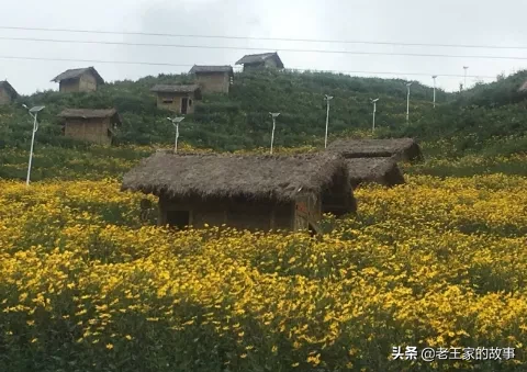 中医药康养游，带动乡村旅游的一剂良方