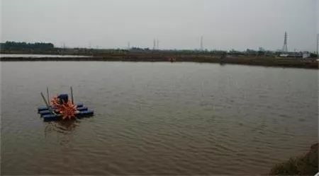 用了调水产品后水质反而恶化了，怎么回事？