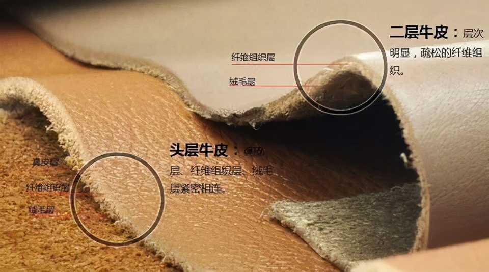 头层牛皮和二层牛皮的比较迪高乐digaole智生活·迪高乐查看全文