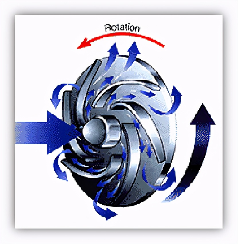 5˽ıû֪ʶ