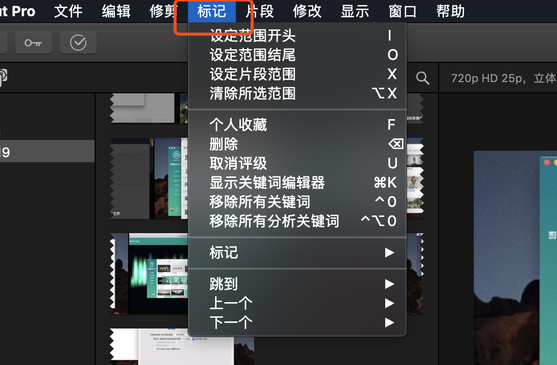 Final Cut Pro X 索引和标记