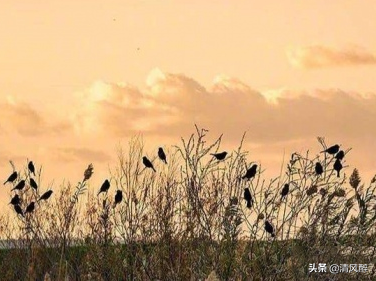 赞美风景好的句子 一句简短的风景朋友圈图片