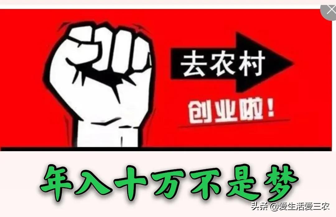 除了种养业，农村还有什么赚钱好门路？试试这些好项目吧