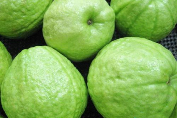 红心芭乐与 白心芭乐的区别，美味香脆，作用神奇更出色