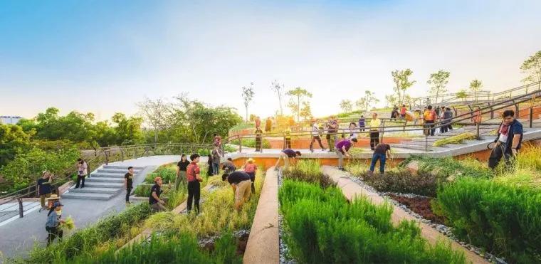 田园康养+旅居度假，经济内循环下的“黄金时代”