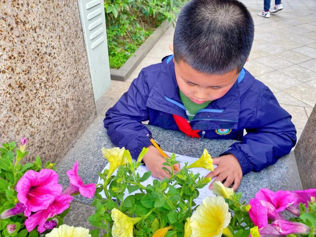 带上五官到校园里寻找春天——成都市华中附小大自然的语文课