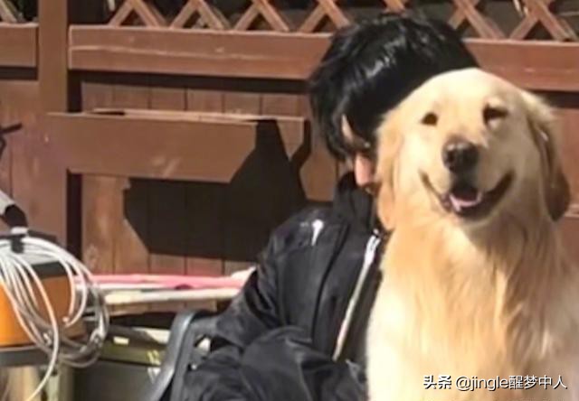 《彼岸花》低调收官，播放2亿次，评分2.9，难怪