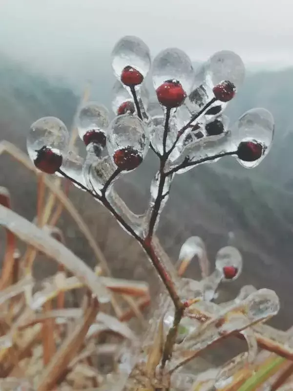 不用去看故宫的雪！钱塘江畔的冰雪霸屏了……美翻了整个江南！