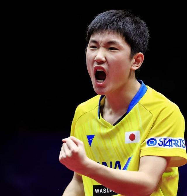 张本智和礼仪举动让人琢磨不透？很正常，对刘