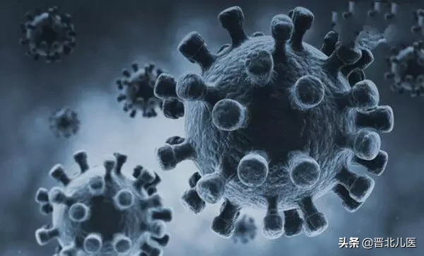 农乐生物 疫情来袭,来了解一下微生物!