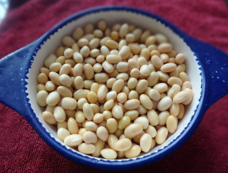 图片[3]-打豆浆时用生豆子好还是熟豆？做对了豆浆香浓营养无豆腥味-起舞食谱网