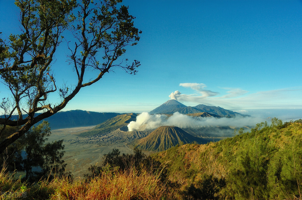 在自媒体平台的23天我的收获和感受 || 以及新手建议