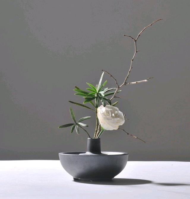 百读不厌的人生感悟 读懂一半受益终生图片