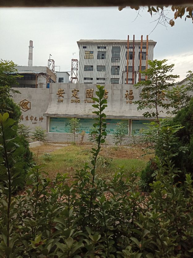 鲁抗医药老厂区的喷水池，已经杂草丛生，可金字招牌依然闪亮如新