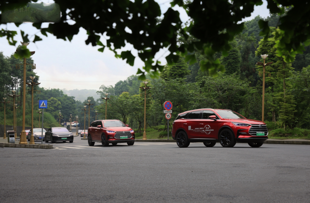 “迪粉”线上重拳出击，线下又是什么样？