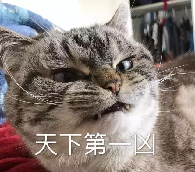 價(jià)差最高1000多，佛山不銹鋼人民已將無(wú)錫0.92的304買斷