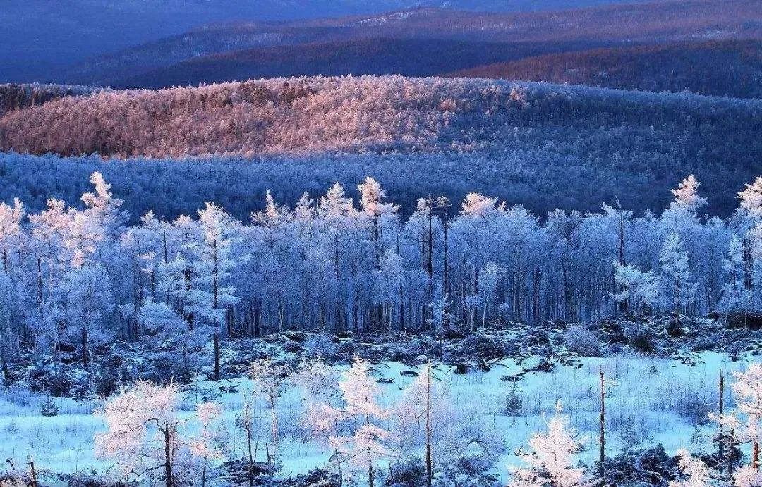 十首冬景的诗词，冬天的景色，在最美的诗词里-第6张图片-诗句网