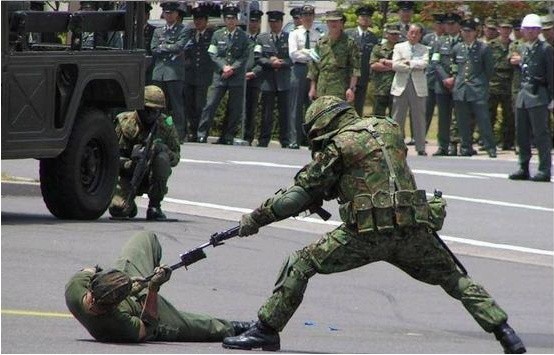 日本副防相：台灣的安全是“紅線”，美國應堅定支持