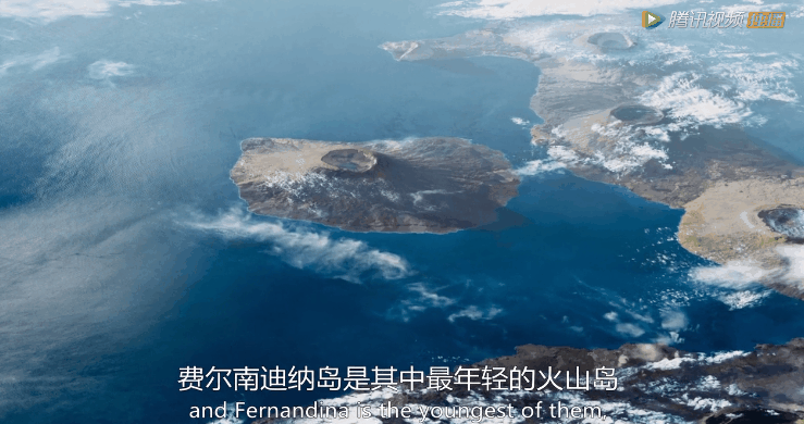 看完BBC《完美星球》第一集火山，梦回奇幻的加拉帕戈斯群岛