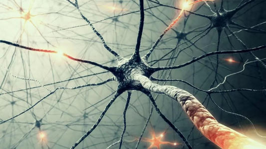 人的大脑其实天生不爱思考！学霸爱学习，原来是做好了这3件事？