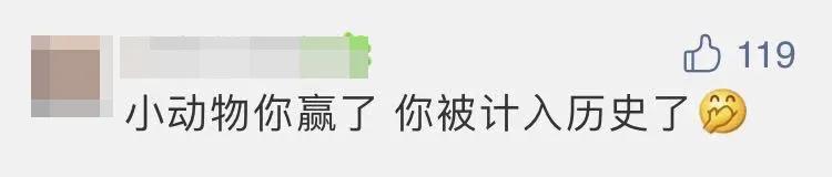 热议-嫦娥五号着陆瞬间:小动物抢镜,预示着什么、到底是玉兔还是沙狐
