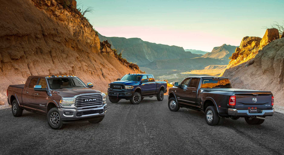 2020�����Ƥ���г��������� ȫ����������ͻ��50����