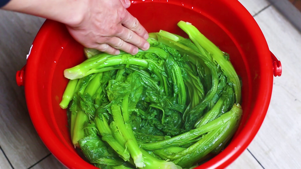 图片[6]-制作酸菜的简单做法 腌制3天就能吃 脆爽可口-起舞食谱网
