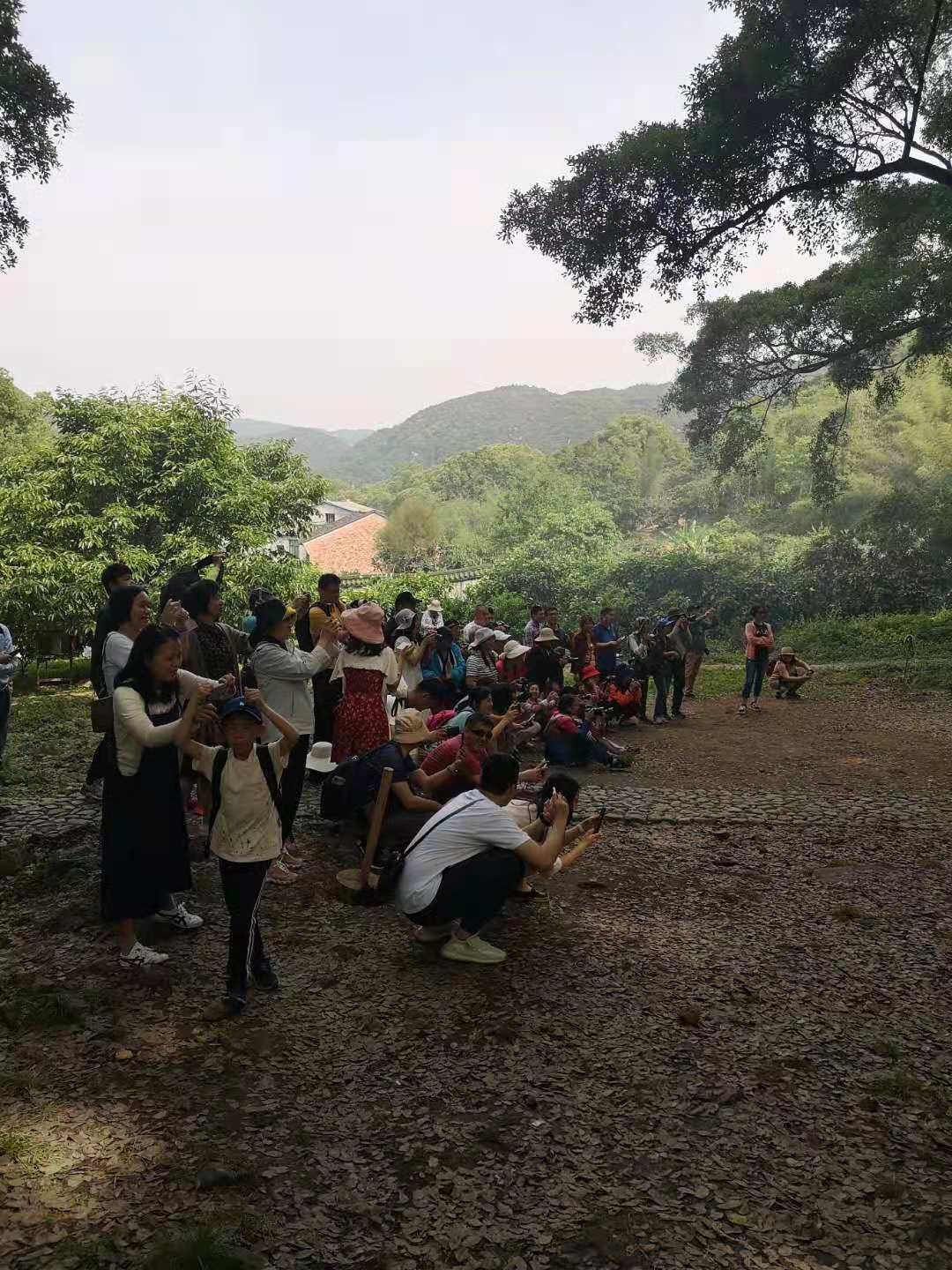 我们的霞浦路线图：光影栈道、东壁、杨家溪、赤溪、S弯、下尾岛