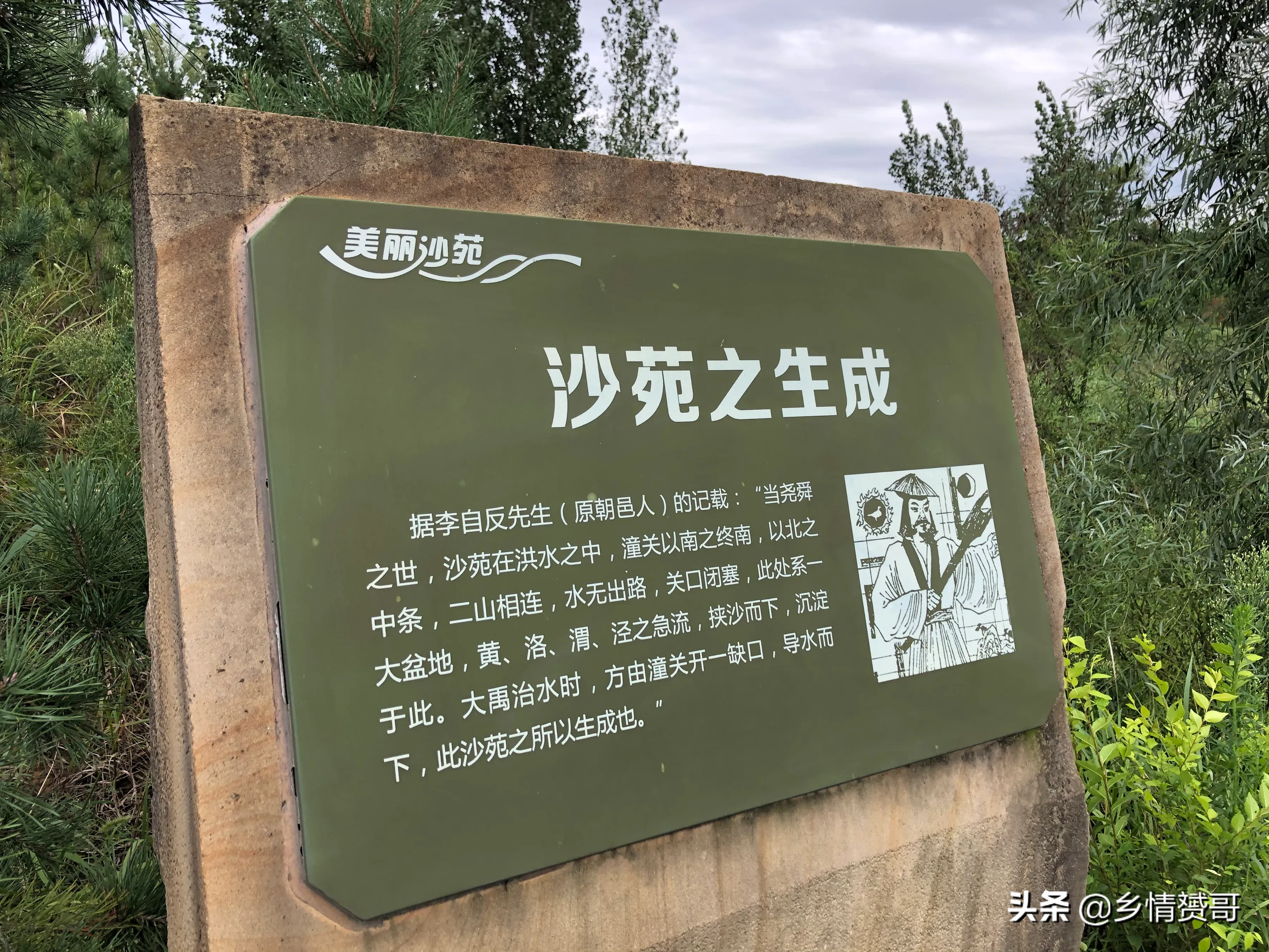 陕西省大荔县农村，有个森林公园，很多人没去过