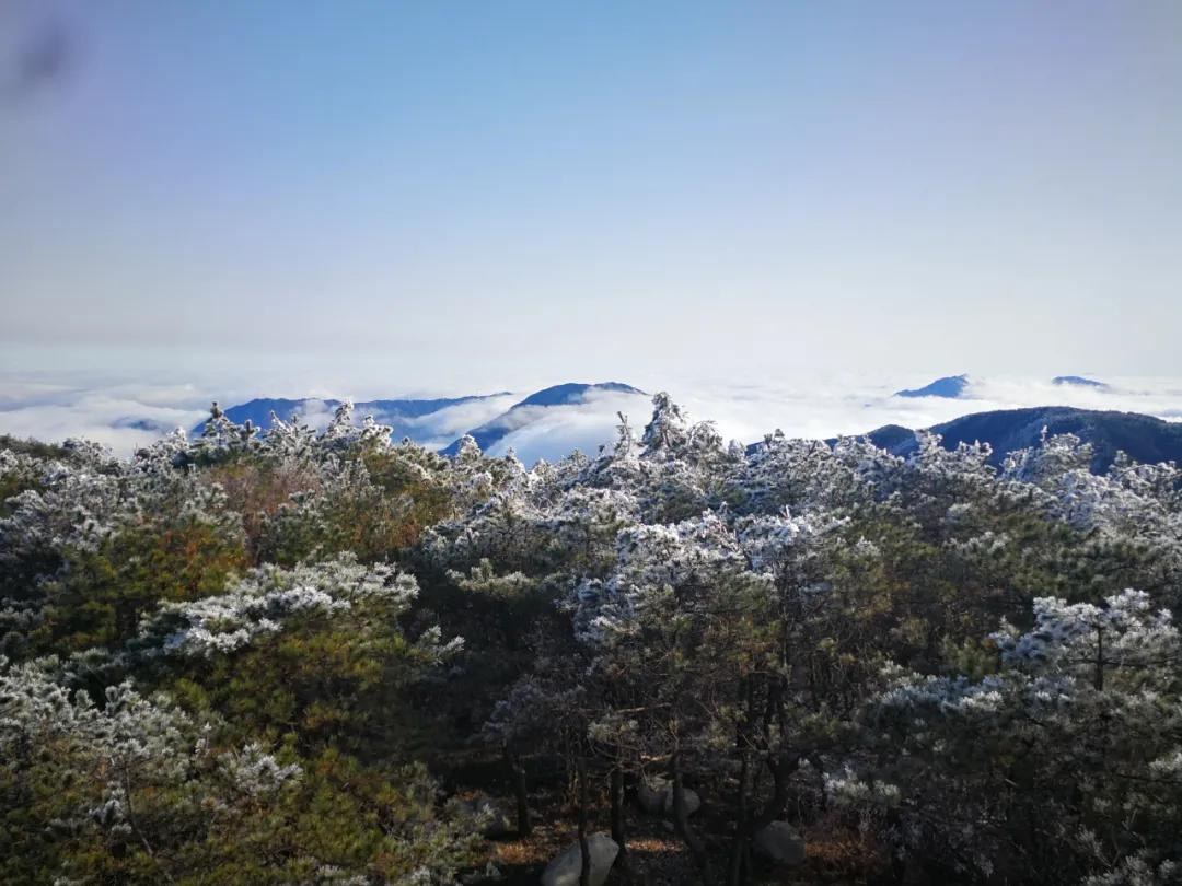 美哭｜3月2日天岳幕阜山现大面积雾凇美景，晶莹剔透美极了.