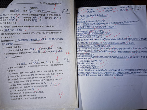 奥运10米跳台夺金的上海女孩 是世界冠军也是小“学霸”