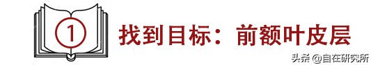 如何培养出高度自律的孩子？诀窍就在你我身边