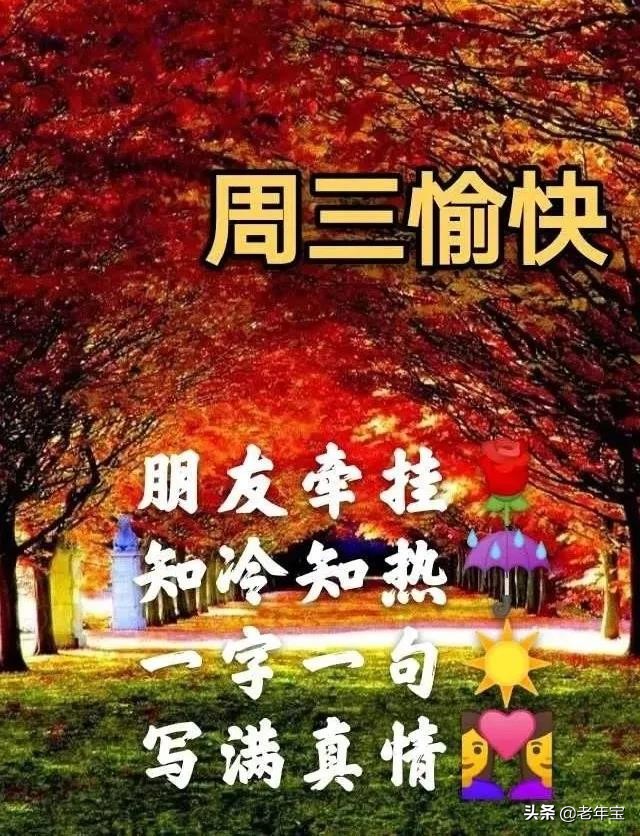最新周三早上好表情图片  周三早上好问候语图片图片