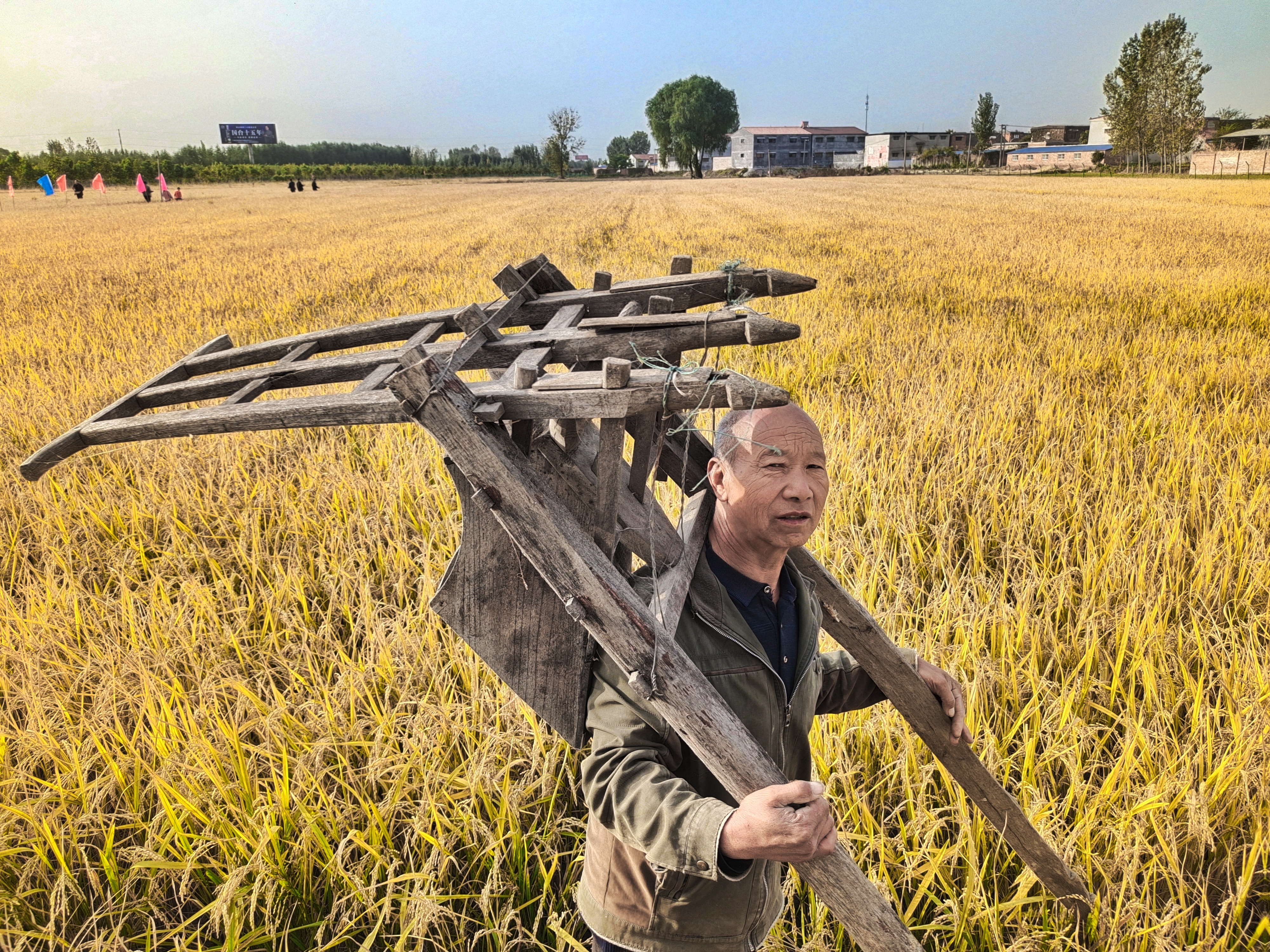 稻米|“稻”路越走越宽 新乡平原示范区第三届稻米文化节开幕