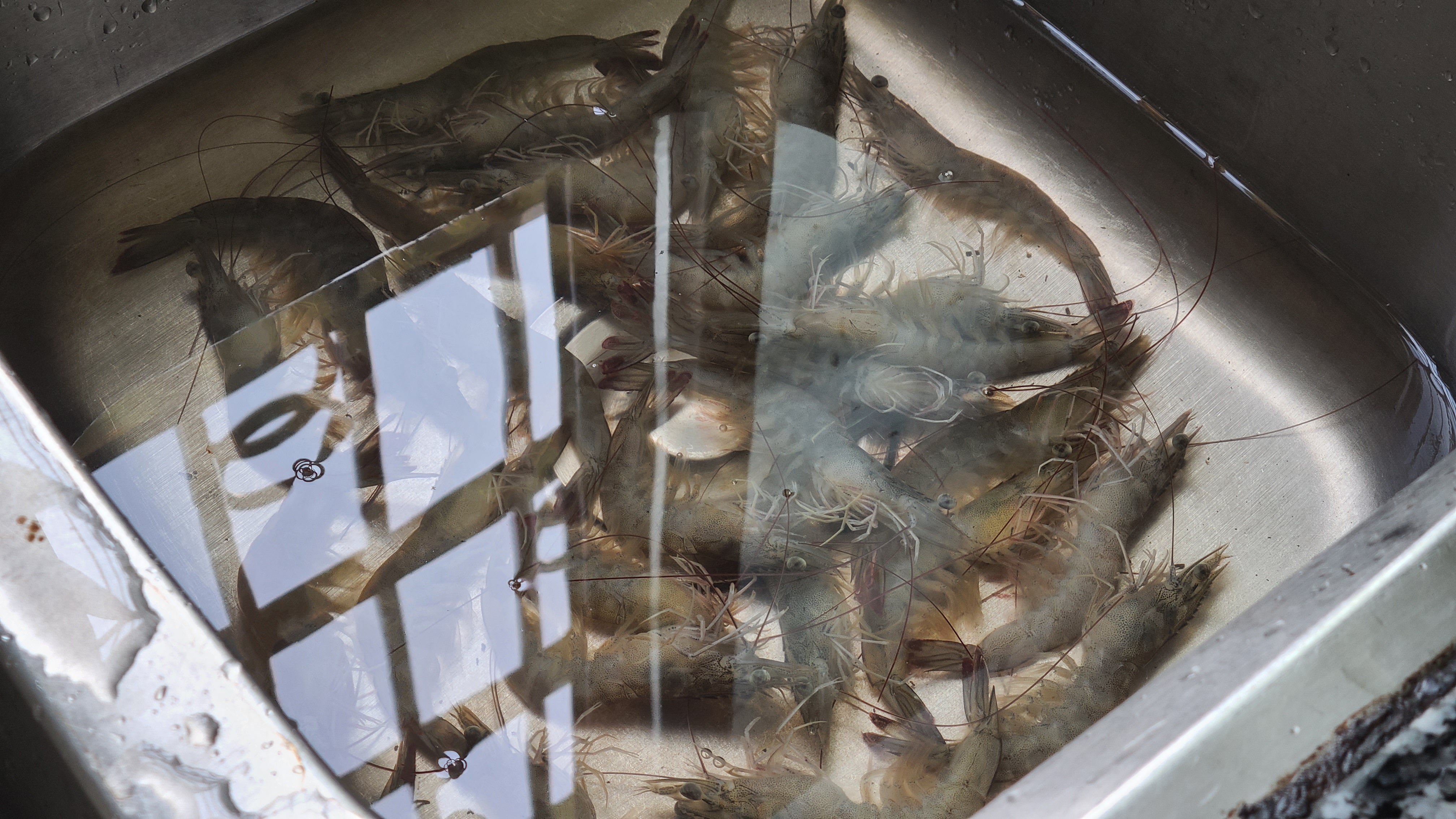 魷魚蝦煲這樣做太香了，很好吃的家常菜，味道鮮美又簡單