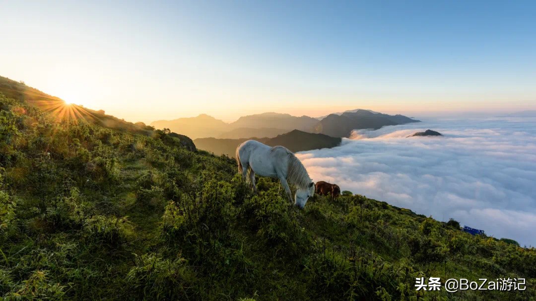 到四川雅安旅行不能错过的10大景点，有一处被称为中国仙茶故乡