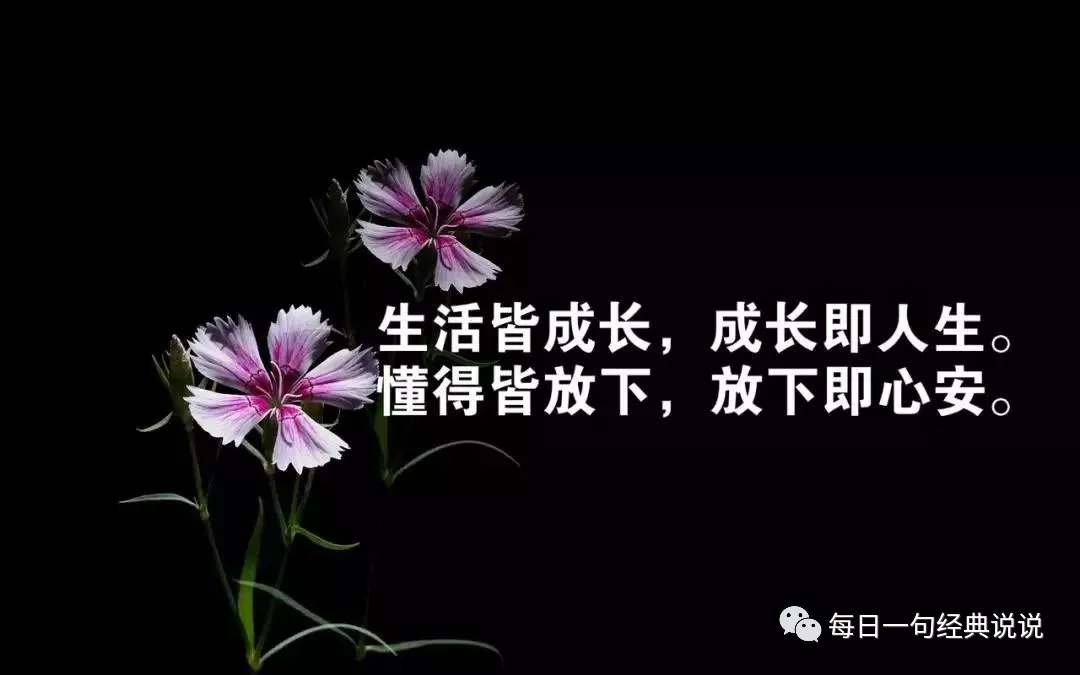 适合发朋友圈的伤感句子，句句入骨，让人心痛图片