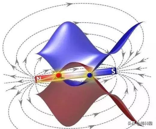 凝聚态物理的巨大进步，在狄拉克半金属中，发现新的奇异拓扑态