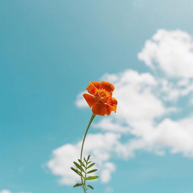 对生活充满美好的句子 未来可期的正能量句子图片