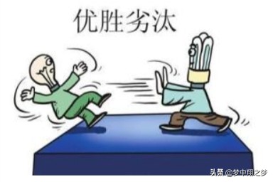 实体店面临倒闭,电商遭遇淘汰,改变自己救自己