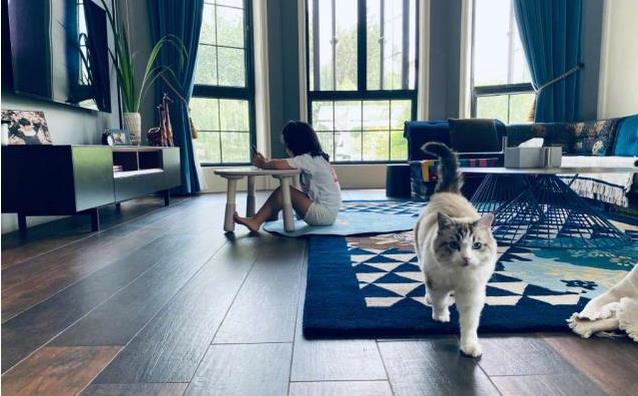 张亮晒照为女儿庆生，谁注意了他豪宅内的东西