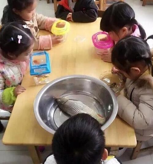 亲爹给起我的这名字,上学被抓还不算,3天就被揍了8次