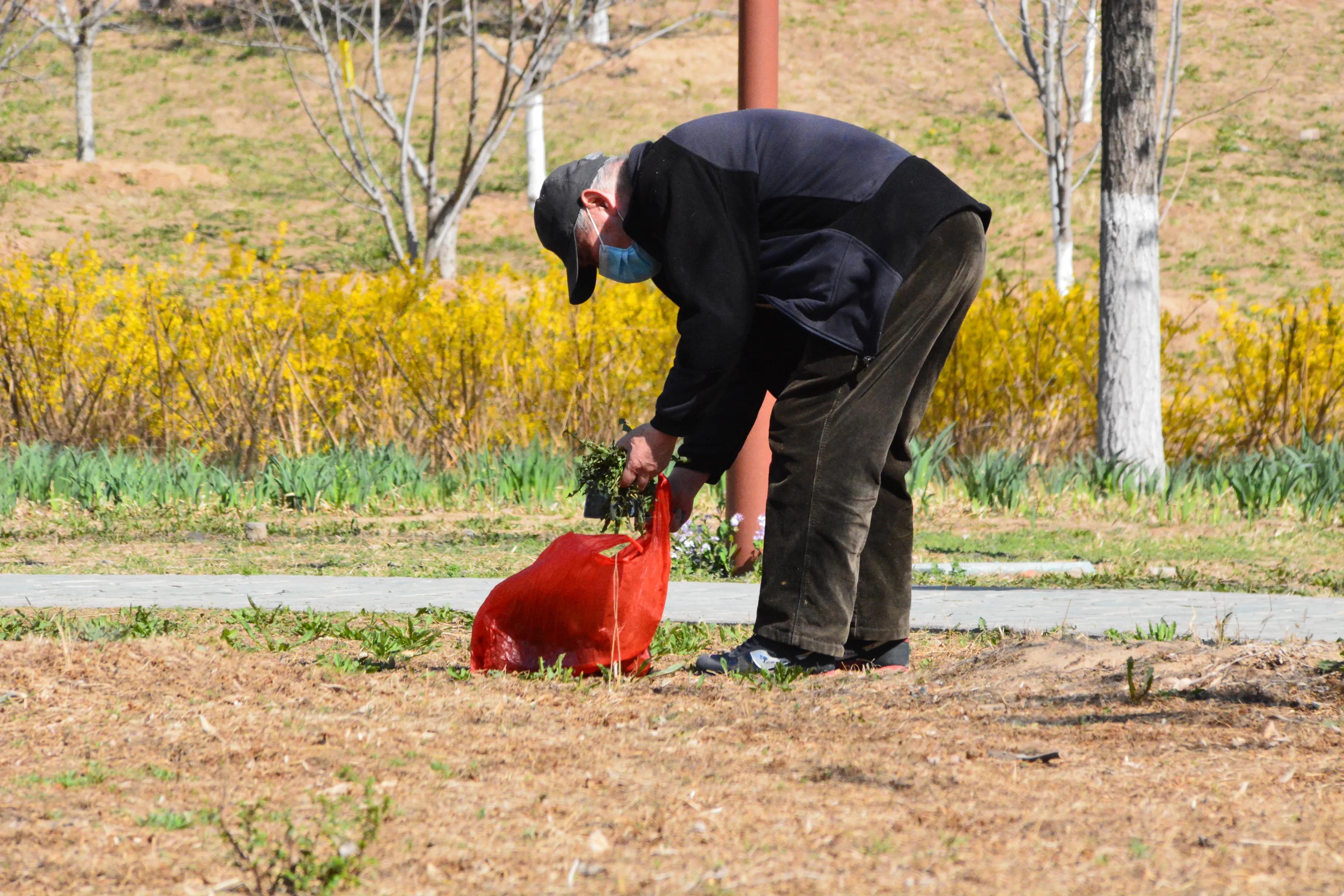 北京大兴区南海子公园迎来小长假第一天